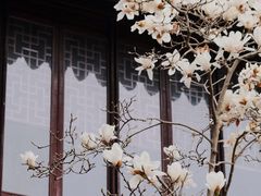 -耦园