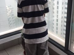 -新湖明珠城