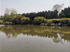 -嘉定紫藤园