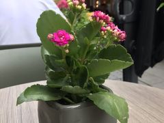 -gaga(深圳南山益田假日广场店)