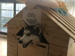 -Husky Go! 哈士奇体验馆·宠物咖啡厅狗咖