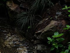 -虎跑公园