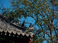 -烟台山景区