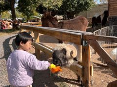 -HERRE·FARM 赫尔露营农场·团建聚会包场