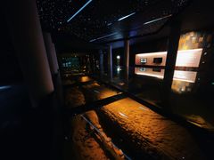 -乐山乌木文化博览苑