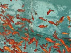 -华声天桥民俗文化园