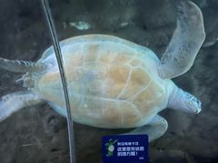 -大连圣亚海洋世界