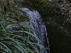 -龙窝子