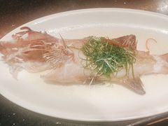 -晶采轩(虹桥路店)