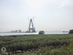 -芒洲湿地公园