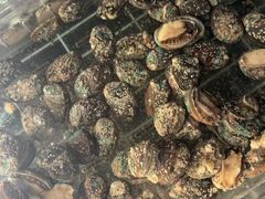 -浩运·海鲜青岛菜·海胆水饺(石老人店)