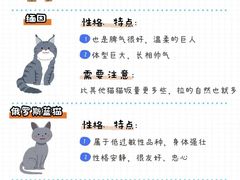-Bastet sally猫舍购宠(静安店)