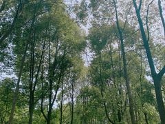 -邓小平故里
