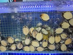 -必点海鲜·鲅鱼水饺(鞍山西道店)