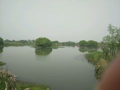 -梁鸿国家湿地公园