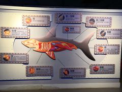 -海合安武汉极地海洋公园