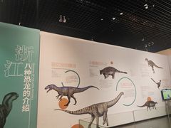 -衢州市博物馆