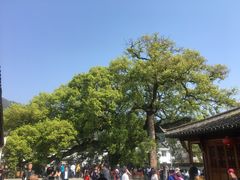 -新安江山水画廊风景区