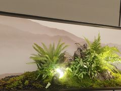 -绿茶餐厅(滨海万达广场店)