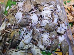 -聚盛源蒸汽海鲜火锅烤肉自助(巨川金海岸购物广场店)