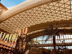 -杭州开元森泊度假乐园