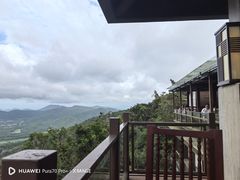-三亚亚龙湾人间天堂鸟巢度假村