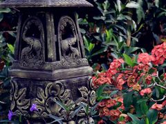 -西双版纳傣族园