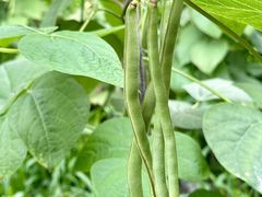 -凤来栖·净庭院·火锅(欧尚店)