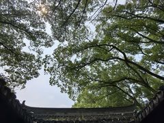 -南园(太仓市)