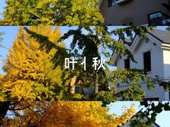-日本风情街