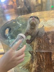 -Zoolung Zoolung动物主题公园(海信广场店)