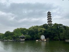 -江心屿景区