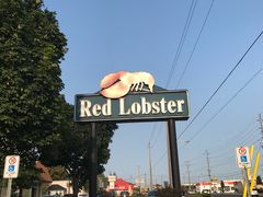 -RED LOBSTER(多伦多DT店)