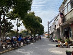 -三林塘老街
