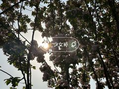 -圆通禅寺