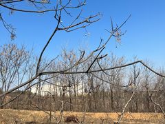 -艾山风景名胜区