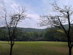 -九曜山