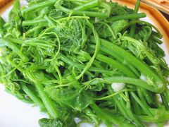 清炒油菜尖-妈妈的味道(和顺古镇店)