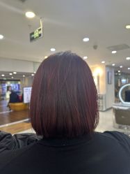 -HaLo hair studio