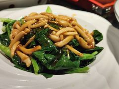 葱油菌菇扒芥兰-蒙古大营(朝阳公园店)