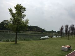 -两河城市森林公园