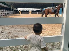 -名驭国际马术学院