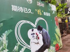 -海南热带野生动植物园