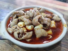 肥肠土豆-朱大嘴肥肠血旺(福字街店)
