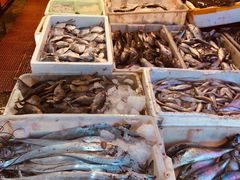 -芦潮港集贸市场