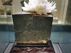 -安徽省地质博物馆