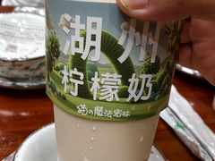 -猫的魔法密林(衣裳街店)