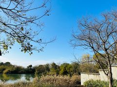 -西溪国家湿地公园