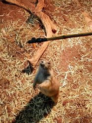 -Zoolung Zoolung动物主题公园(海信广场店)