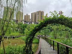 -沐仙湖湿地公园